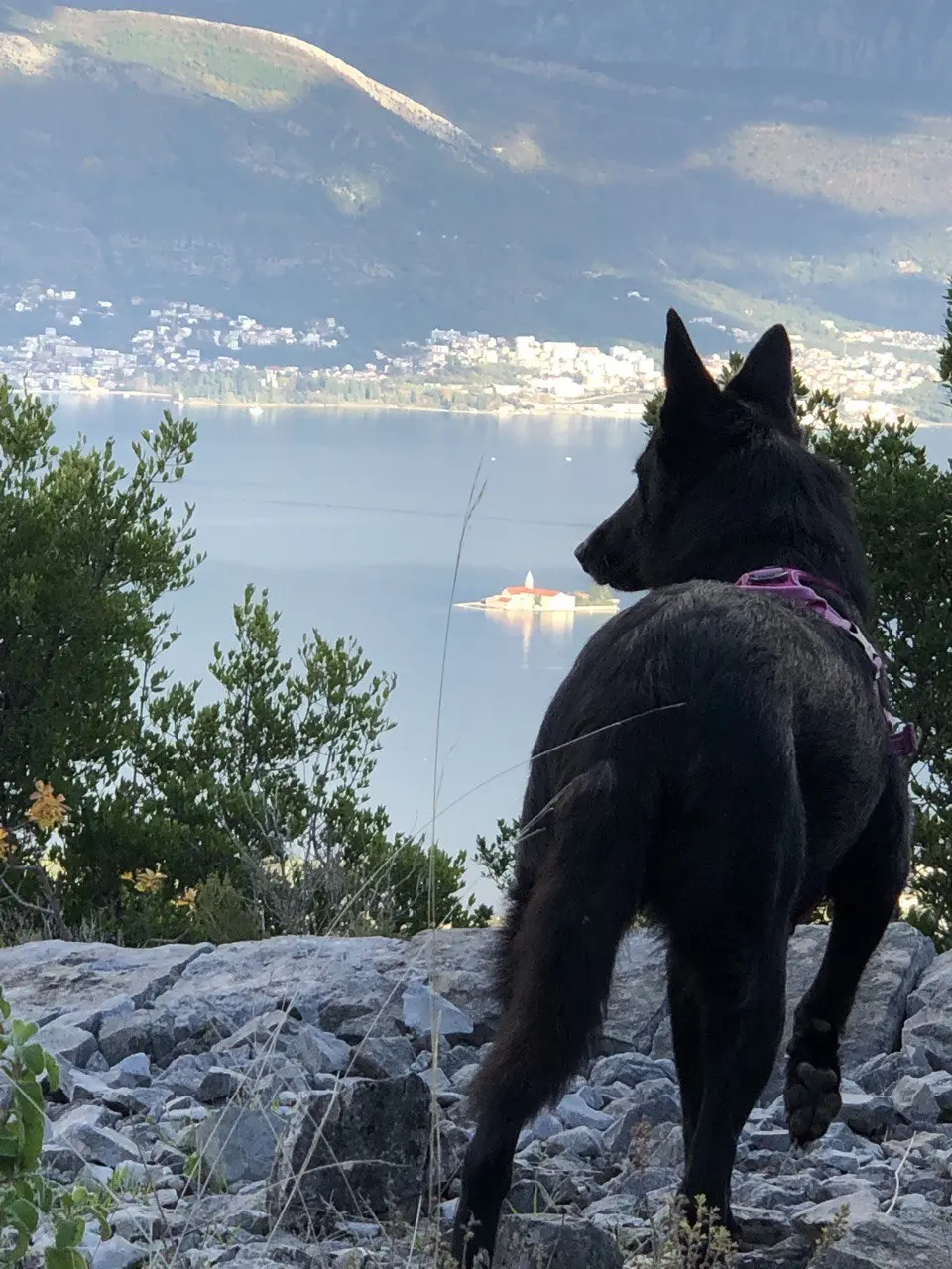 Petite randonnée dernière chez moi, le Monténégro offre des vues incroyable à chaque instant !