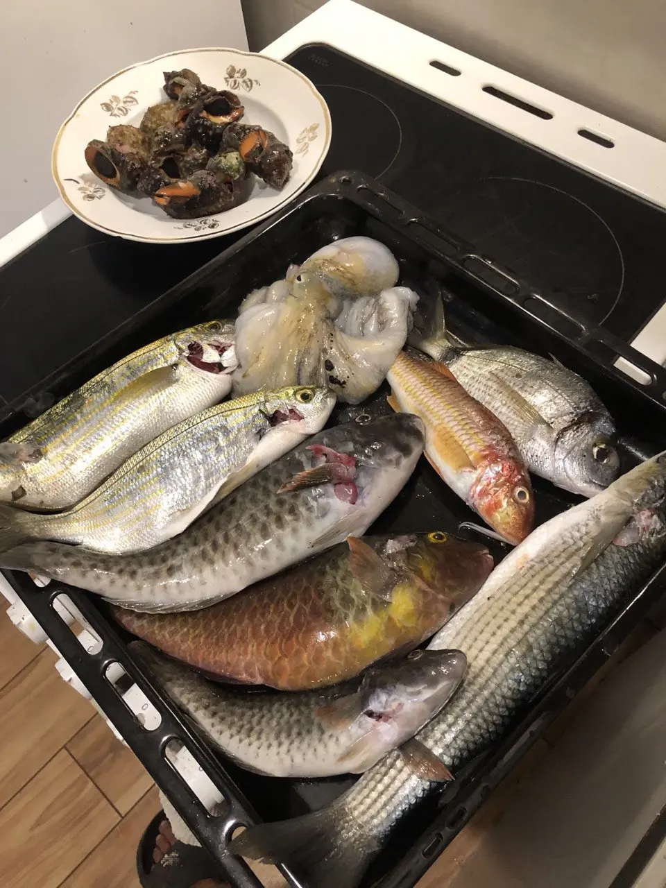 pêche sous marine et poisson de l'adriatique au Monténégro