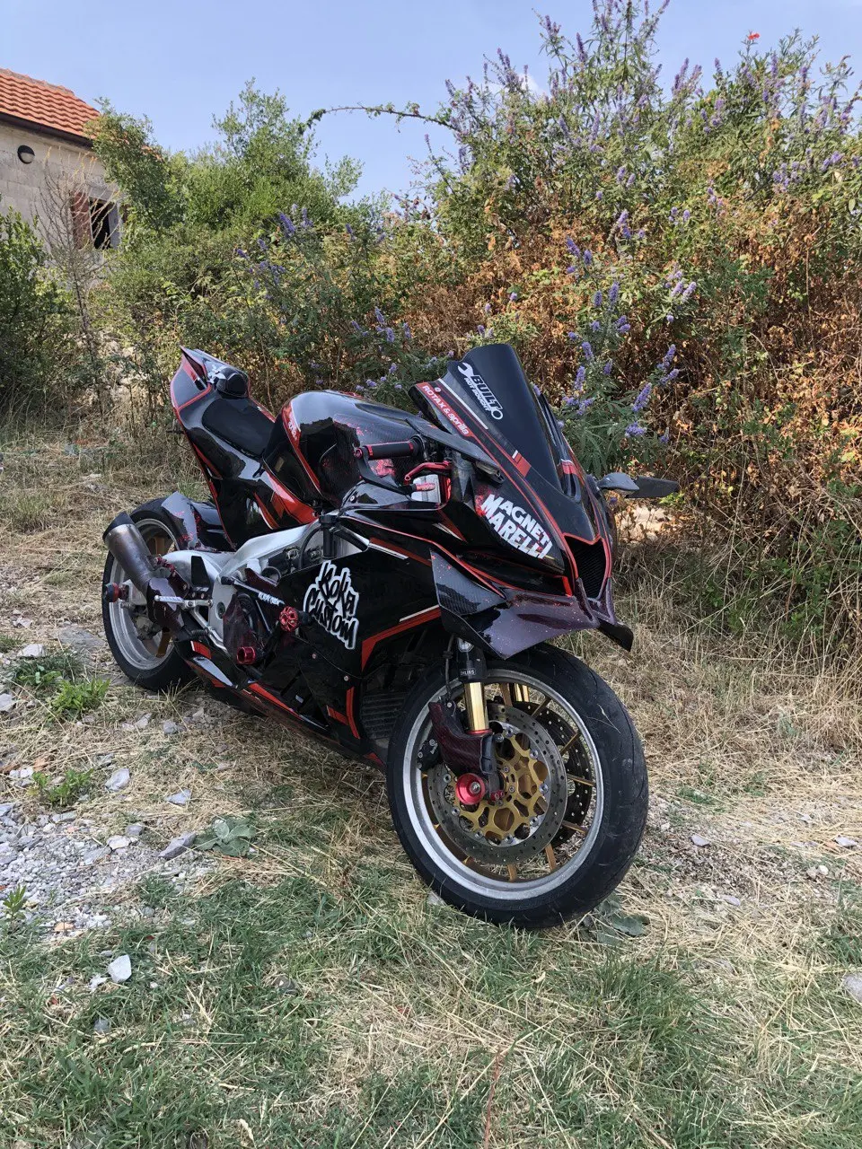 photo_6_2025-12-23_14-03-50